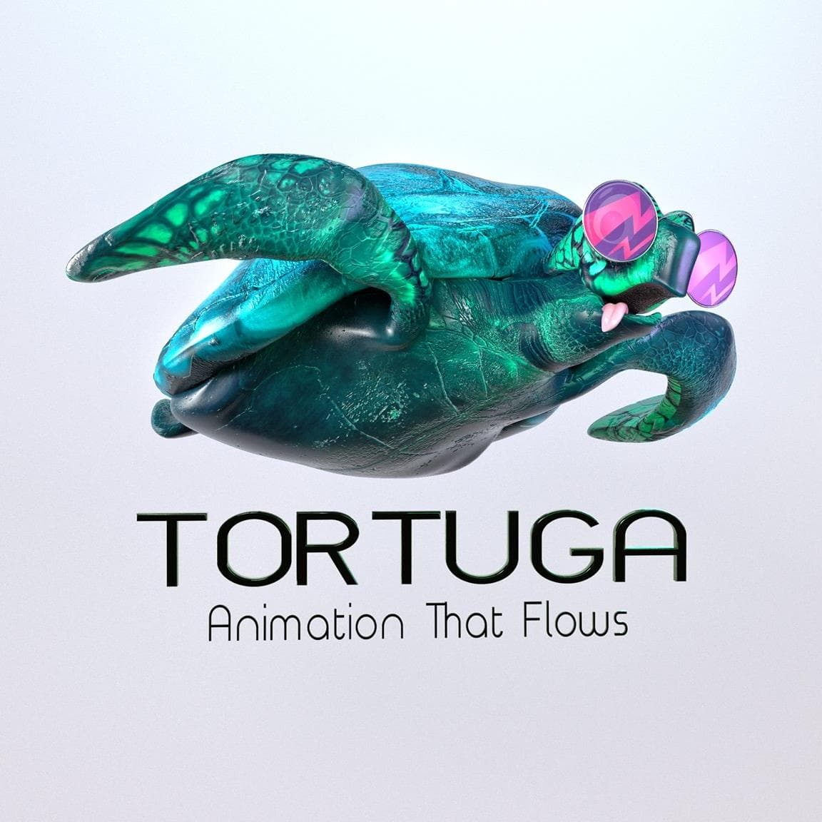 Tortuga Studio